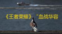 《王者荣耀》“血战华容”8月14日开打 5v5v5三方混战点燃全场